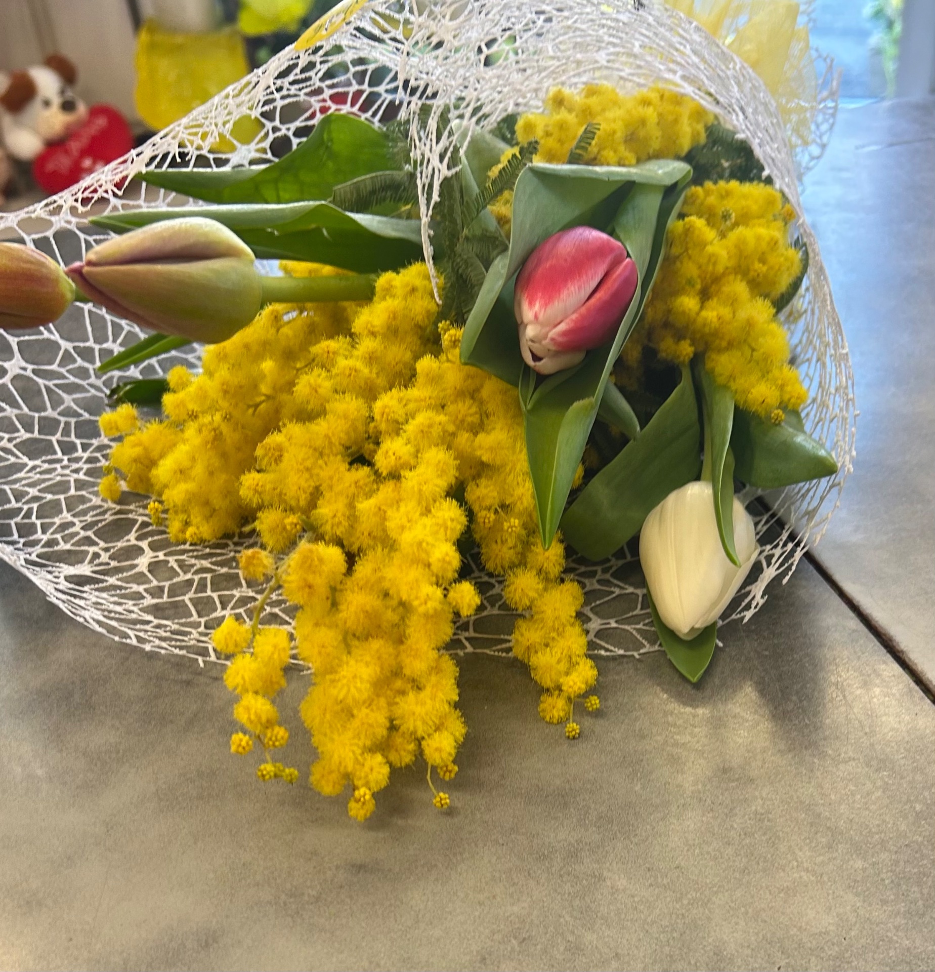 Mimosa e tulipani