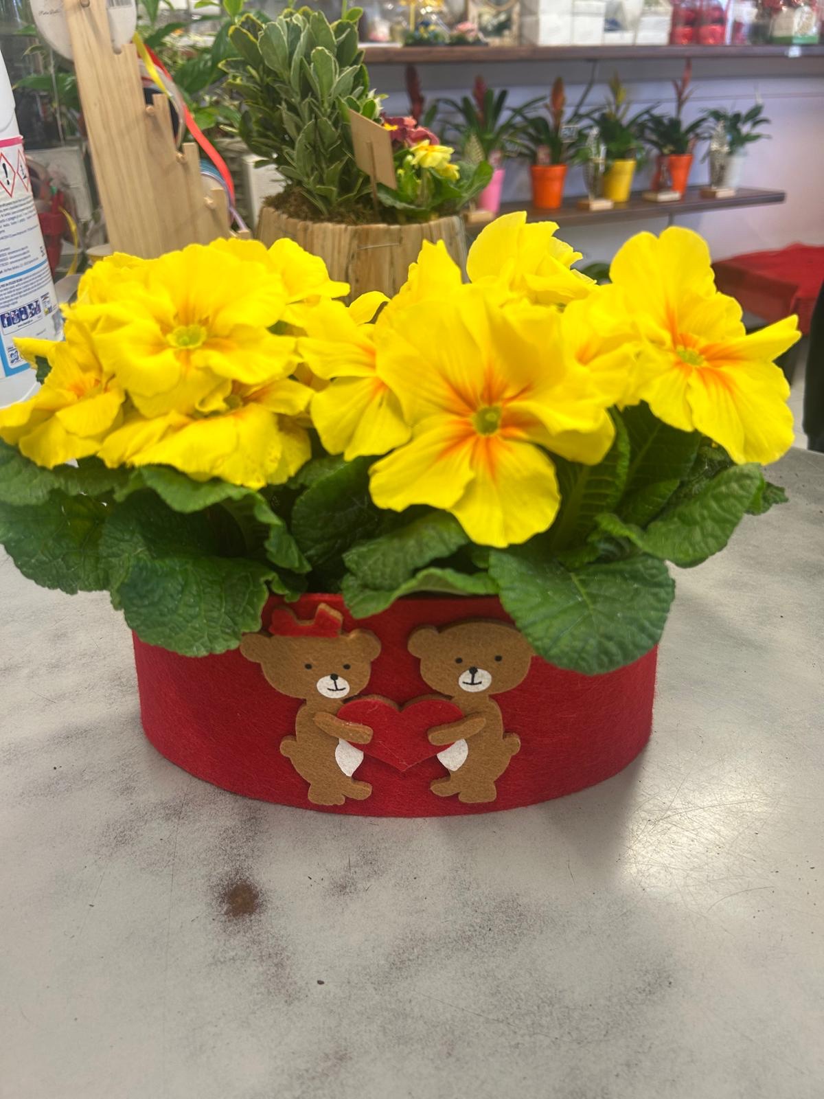 Composizione di primule